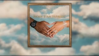 GIMS  Sois pas timide Official Lyrics Video [upl. by Diena692]