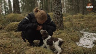 Smedstorpet om de tre till fem första dagarna med valpen [upl. by Halsey]