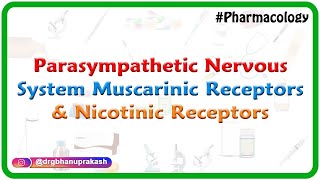 2Parasympathetic Nervous System  Muscarinic receptors and Nicotinic receptors [upl. by Owens603]