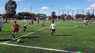 Parramatta Eagles FC VS Bankstown City Lions [upl. by Ilario997]