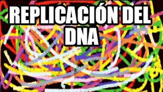 Replicación del DNA diferencias entre Procariotas y Eucariotas [upl. by Annaitsirhc]