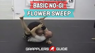 Basic NoGi Flower Sweep [upl. by Nerek37]