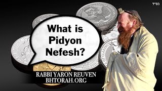 Q What is Pidyon Nefesh Redemption of The Soul [upl. by Whittaker]