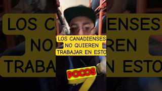 Trabajos fáciles en Canadá [upl. by Orimisac766]