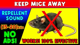 ANTI MICE REPELLENT SOUND ⛔🐀 KEEP MICE AWAY  ULTRASONIC SOUND [upl. by Toinette]