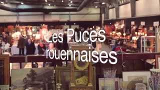 Les puces rouennaises [upl. by Macnamara]