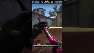 DONDE ESTA LA BIBLIOTECA lol shorts stream csgo troll [upl. by Child]