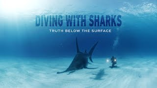 GoPro VR Diving with Sharks  Truth Below the Surface [upl. by Heather]