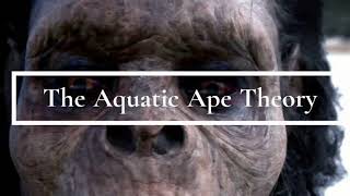 The AQUATIC ape theory [upl. by Alake746]