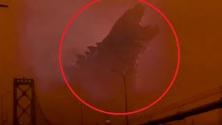 5 Godzilla Caught on Camera amp Spotted in Real Life 3 [upl. by Amr]