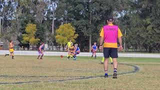 Goannas vs Kangaroos 1808 q3 [upl. by Rafferty606]