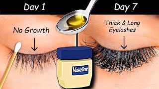 Use Vaseline to Grow Long eyelashes amp Thick eyebrows from First WEEK  Thick Eyelash Growth Serum [upl. by Vickey167]