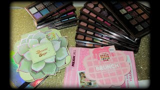 Profusion Eyeshadow Palette Collection [upl. by Hatch863]