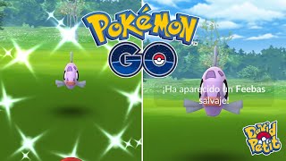 DIRECTO SHINY HUNT DE FEEBAS EN SU HORA DESTACADA POKÉMON GODAVIDPETIT [upl. by Antonella388]