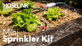 Hoselink Mini Sprinkler Kit  Australia [upl. by Grose419]