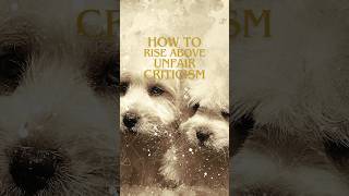 How To Deal With Unfair Criticism Rising Above It [upl. by Avruch]