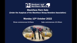 Blackface Ram Sale at Hexham Mart Monday 10th October’22 [upl. by Ecirtemed214]