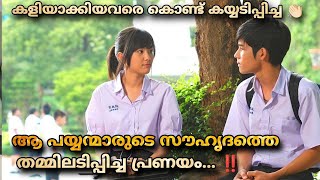 Succeed 2011 Movie Malayalam Explanation MOVIEMANIA25 അലമ്പൻ പയ്യന്മാർ Boy Band തുടങ്ങിയകഥ ‼️ [upl. by Yelich115]