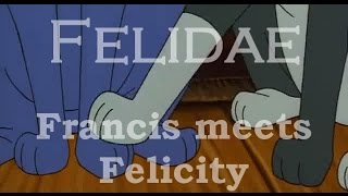 Felidae  Francis meets Felicity [upl. by Stav]