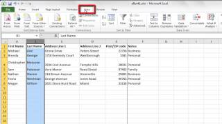 How to Sort Excel 2010 by Alphabetical Order [upl. by Akenat]