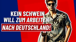 Kein Schwein will zum Arbeiten nach Deutschland [upl. by Sari]