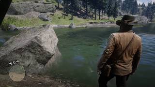 RDR2 Herbalist 9 as Arthur All New Austin plants and exact location Easy way to get LotE outfit 119 [upl. by Debor]