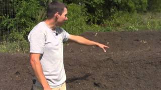 Hugelkultur Project Part 2 Planting the Polyculture [upl. by Asilana]