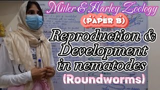 Reproduction amp Development in Roundworms  Phylum Nematoda  Miller amp Harley Zoology  Paper B [upl. by Nakre]