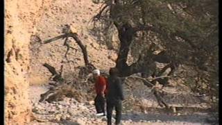 WADI ZOHAR in the JUDEAN DESERT ISRAEL [upl. by Bogosian275]