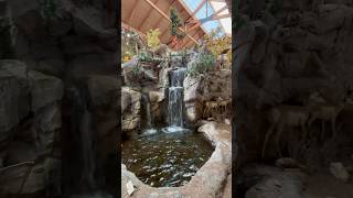 Cabela’s ❤️☀️cabelas bassproshop asmr [upl. by Meggie]