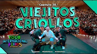 PERROS CRIOLLOS  VIEJITOS CRIOLLOS CAP 38 [upl. by Hali]