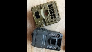 Reconyx Hyperfire 2 vs Bushnell 24MP Core Prime Low Glow [upl. by Obediah]