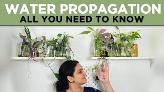 Water Propagating Plants  All you need to know  Tips amp Tricks  Mistakes amp Learnings [upl. by Bevus]