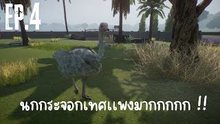 EP 4 เลี้ยงนกกระจอกเทศไม่ธรรมดา  PLANET ZOO [upl. by Nosdrahcir]