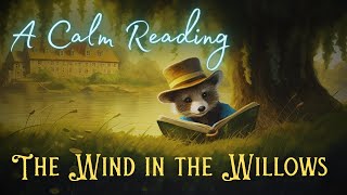 🦝 A Calm Reading of quotThe Wind in the Willowsquot  Full Audiobook for Sleep 😴 [upl. by Pero652]