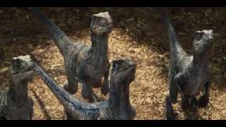 Raptor movie trailer preview from cheapflix [upl. by Melisse]