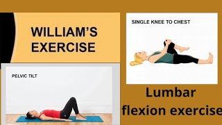 WILLIAMS EXERCISE 📕 For Low back pain  Flexion exercise [upl. by Eirrehs]