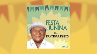 Dominguinhos feat Nando Cordel  quotOlha Pro Céuquot Festa Junina Por Dominguinhos Vol2  2014 [upl. by Cantone]