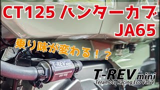 TREVmini SPキット CT125ハンターカブ【JA65】 [upl. by Urbai]