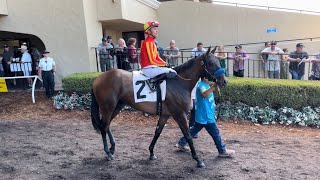 Bob Baffert Trainee Wins on Debut at Del Mar [upl. by Ragen]