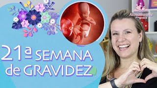 21ª SEMANA DE GESTAÇÃO  Vídeo do Bebê Tamanho do Feto e da Barriga  2º TRIMESTRE DE GRAVIDEZ [upl. by Lleral649]