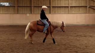 Westerntraining mit Felix Schnabel  Spin aus Volte [upl. by Gschu712]