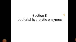 Bacterial hydrolytic enzymesamylasecaseinaseureasegelatinase [upl. by Gennaro]