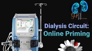 Dialysis Priming Gambro Artis [upl. by Drarrej485]