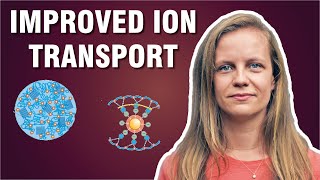 Ion Transport in Battery Electrolytes  Prof Jelena PopovicNeuber [upl. by Theurer]