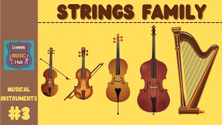 STRINGS FAMILY  INSTRUMENTS OF THE ORCHESTRA  LESSON 3  LEARNING MUSIC HUB  ORCHESTRA [upl. by Onin724]