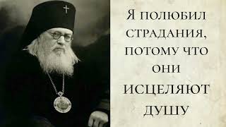 Я полюбил страдания потому что они исцеляют душу [upl. by Frasch]