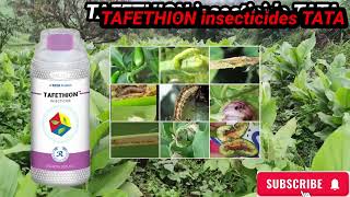 Tafethion insecticide TATA Ethion 50� [upl. by Muirhead]