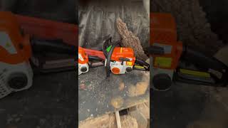 Whats better Stihl MS170 or the Stihl MS180  stihl stihlchainsaw stihlms170 stihlms180 [upl. by Onfre]