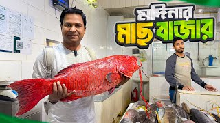 মদিনার সবচেয়ে বড় মাছের বাজার  Fish Market in Medina [upl. by Yenrab]